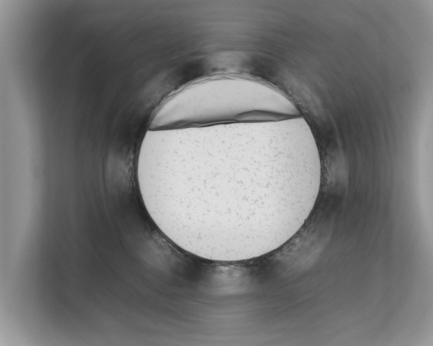 X0000110910376200907161503