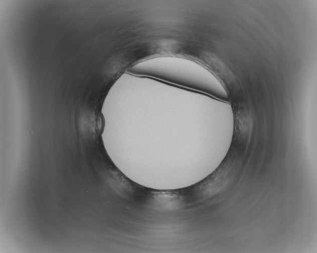 X0000110910380200907161504