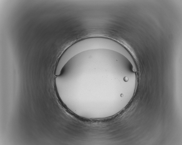 X0000110910385200907161503