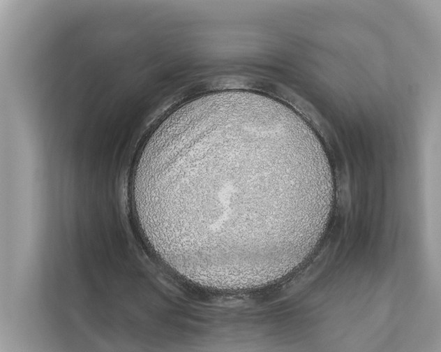 X0000110910386200907161503