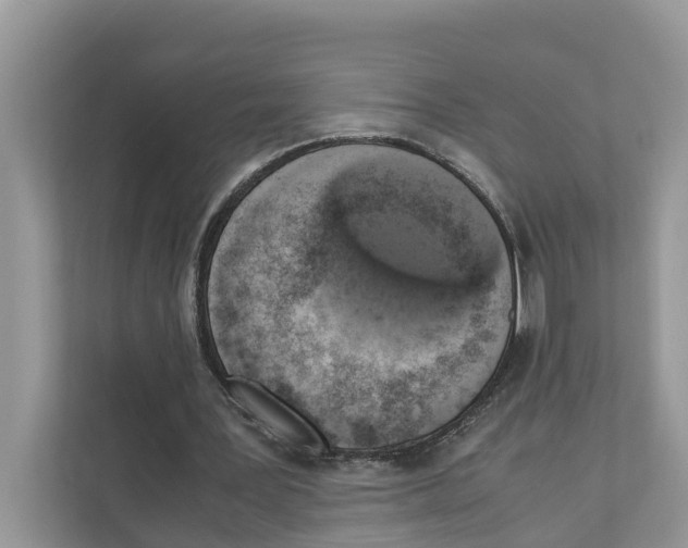 X0000110910387200907161503