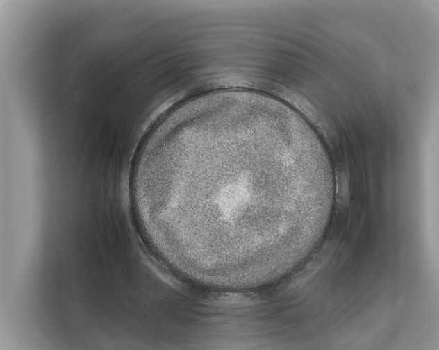 X0000110910390200907161503