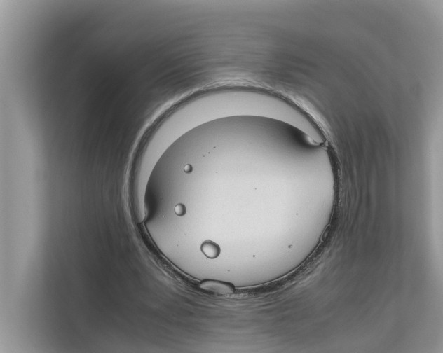 X0000110910391200907161503