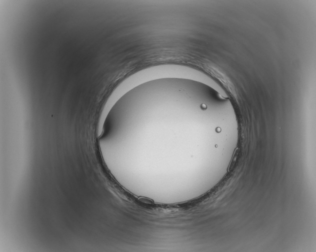 X0000110910401200907161503