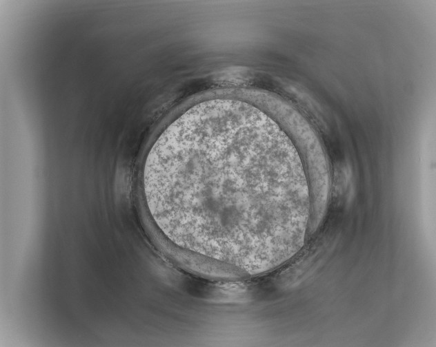 X0000110910409200907161503