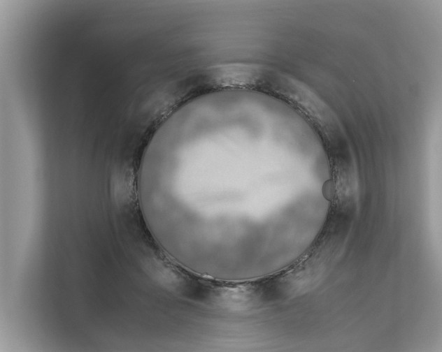 X0000110910411200907161503