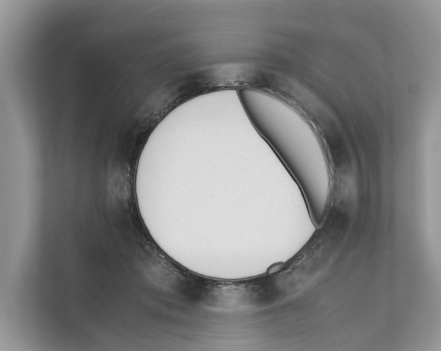 X0000110910413200907161503