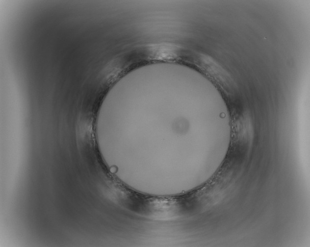 X0000110910415200907161503