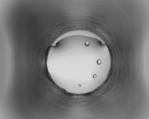 X0000110910417200907161503