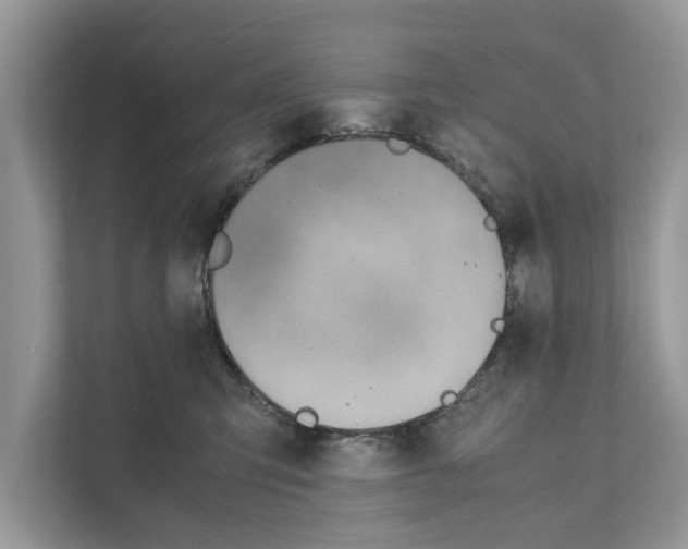 X0000110910423200907161502