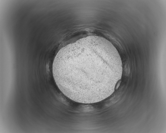 X0000110910424200907161502