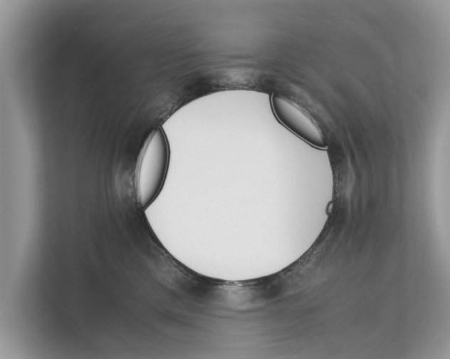 X0000110910425200907161502