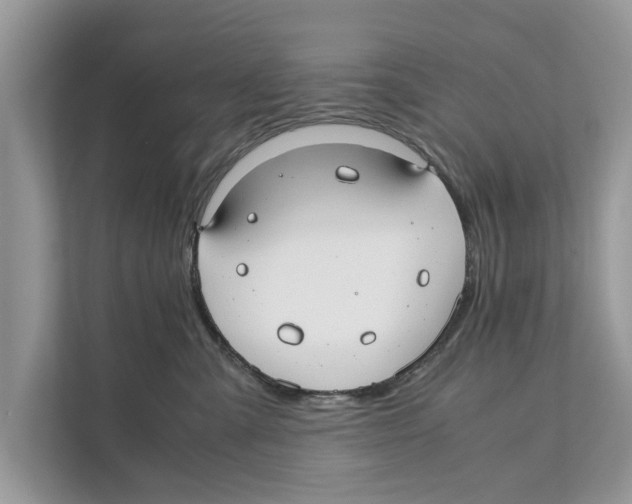 X0000110910427200907161502