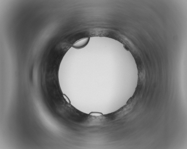 X0000110910429200907161502