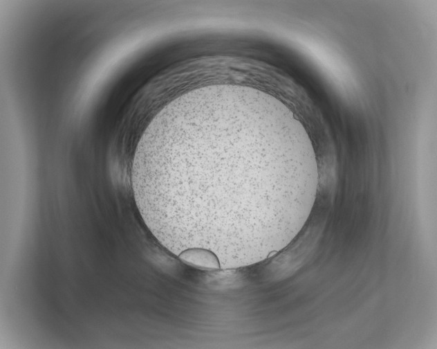 X0000110910431200907161502