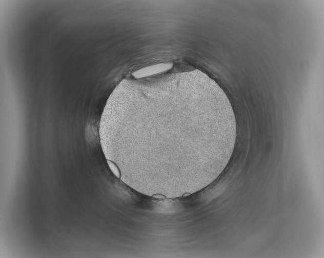 X0000110910432200907161502