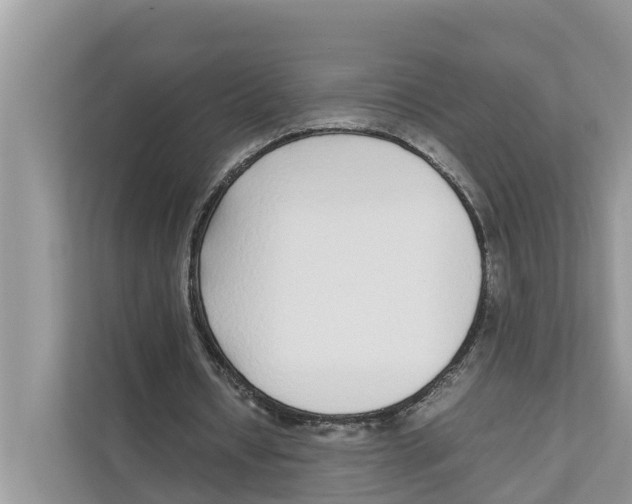 X0000110910434200907161502