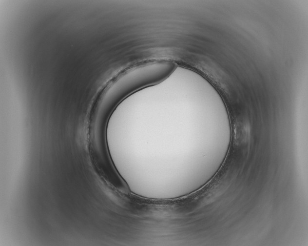 X0000110910436200907161502