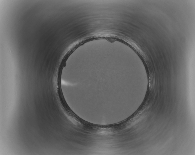 X0000110910438200907161502