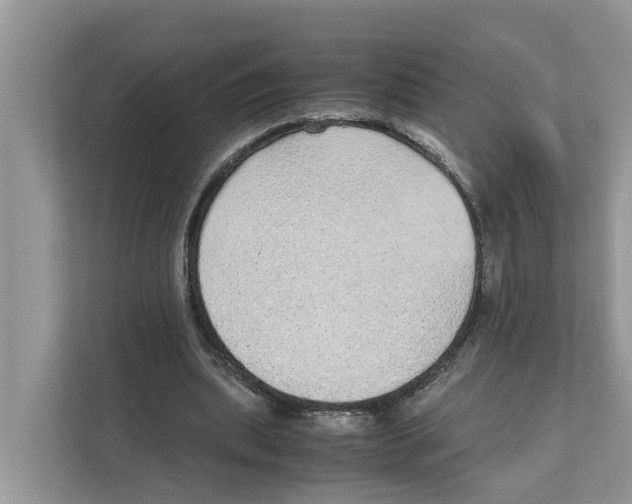 X0000110910439200907161502