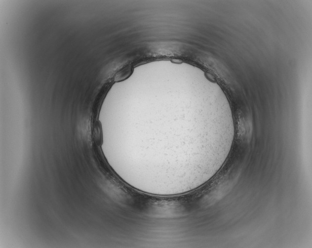 X0000110910444200907161502