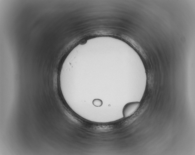 X0000110910445200907161502