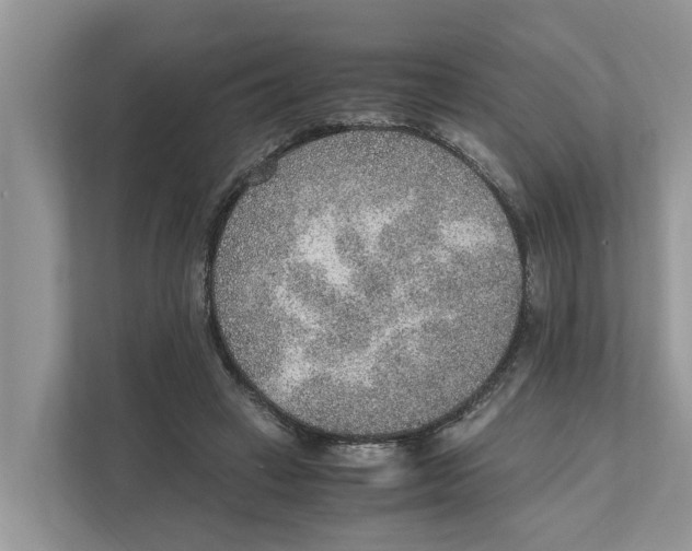 X0000110910449200907161502