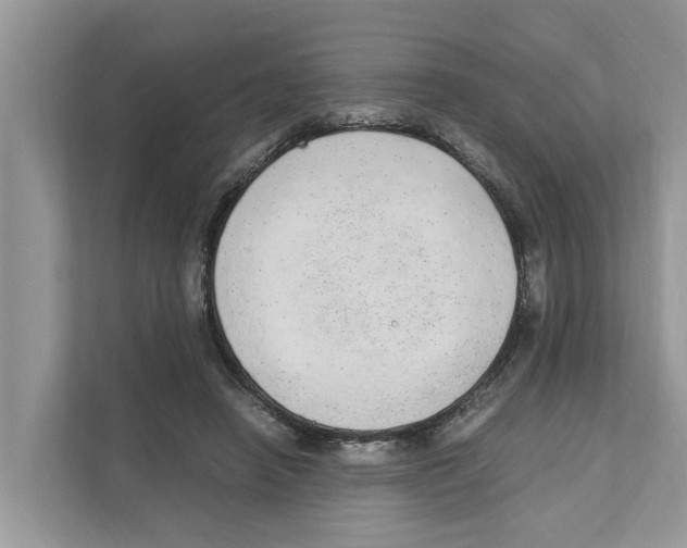 X0000110910450200907161502