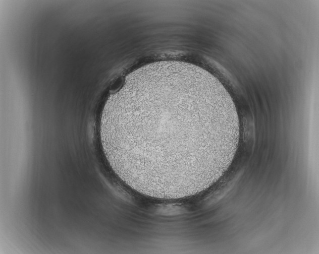 X0000110910451200907161502