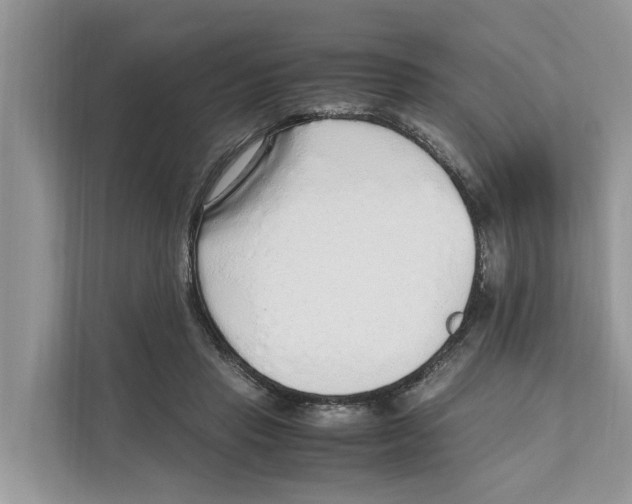 X0000110910453200907161502