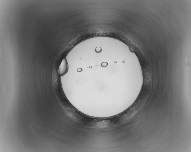 X0000110910456200907161502