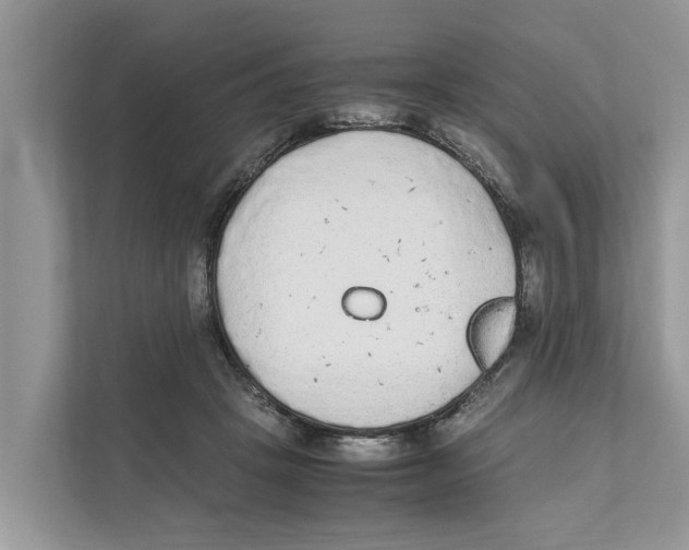 X0000110910457200907161502