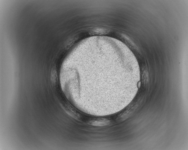 X0000110910459200907161502