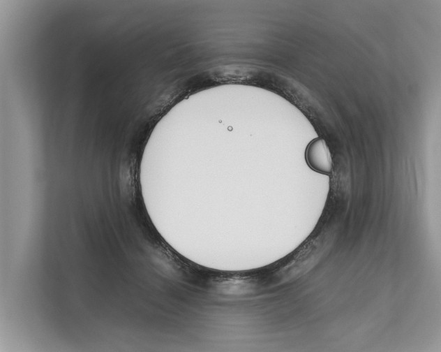 X0000110910460200907161502