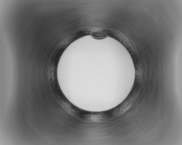 X0000110910462200907161502