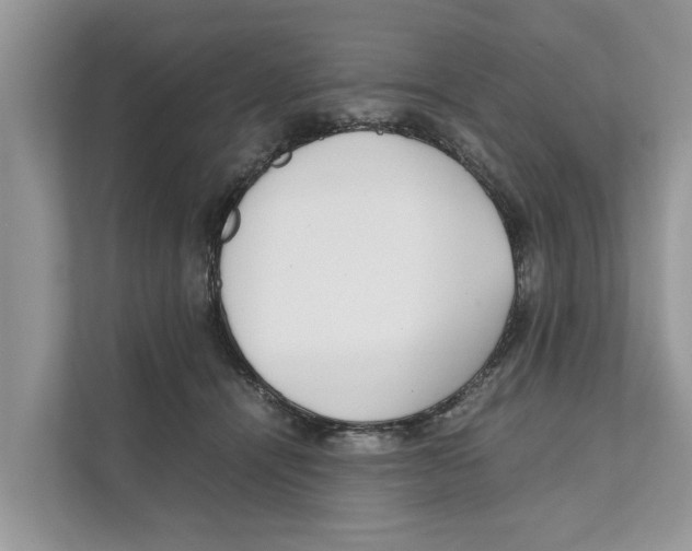 X0000110910464200907161502