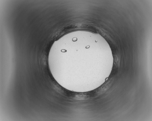 X0000110910470200907161502