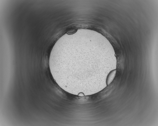 X0000110910474200907161502