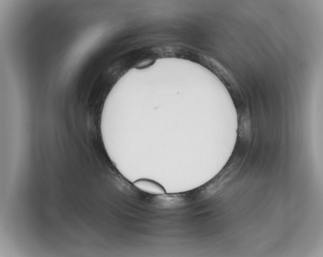 X0000110910477200907161502