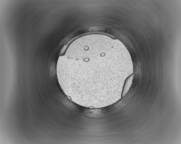 X0000110910478200907161502