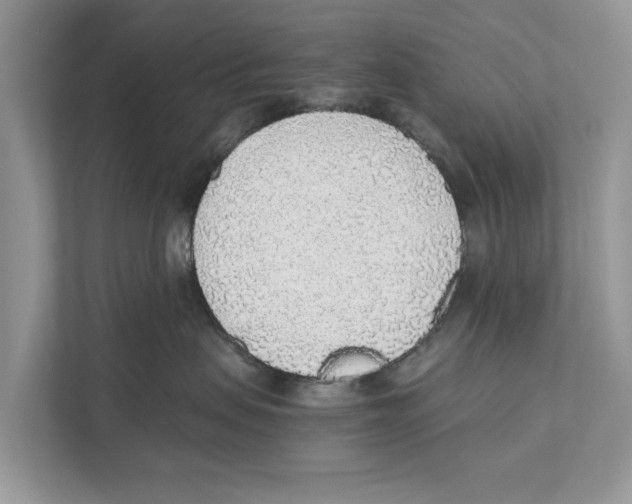 X0000110910479200907161502