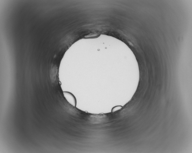 X0000110910480200907161502