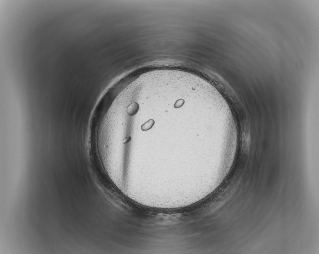 X0000110910484200907161502