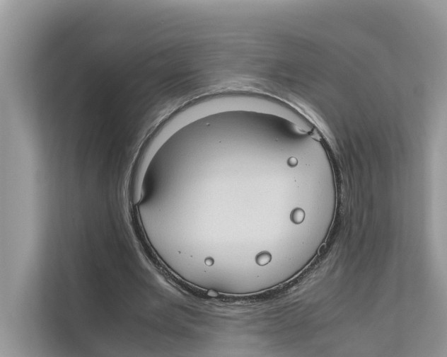 X0000110910485200907161502