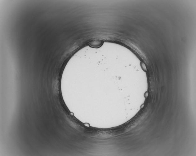 X0000110910489200907161502