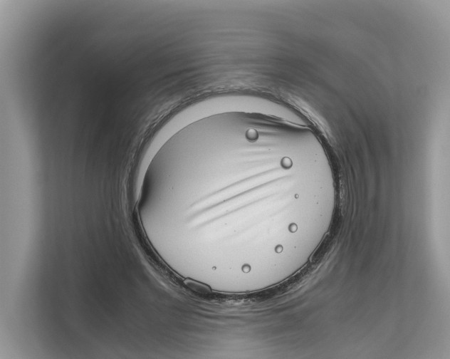 X0000110910493200907161502