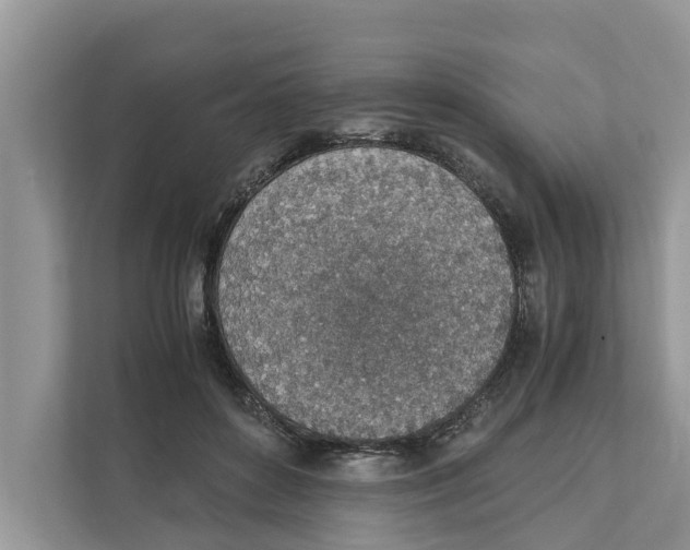 X0000110910504200907161501