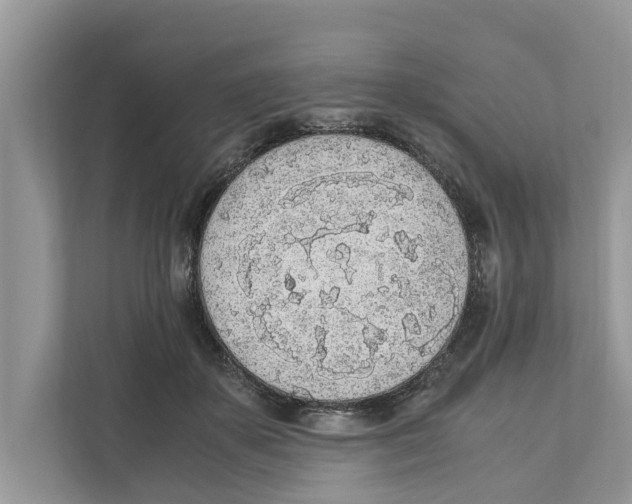 X0000110910507200907161501