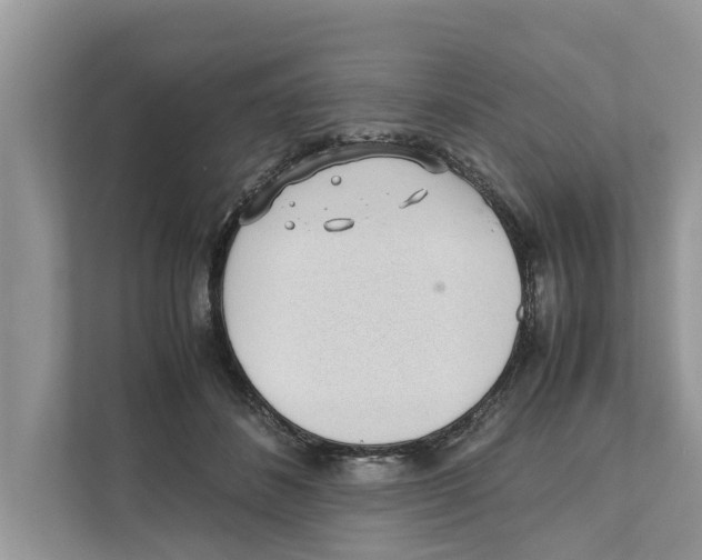 X0000110910508200907161501