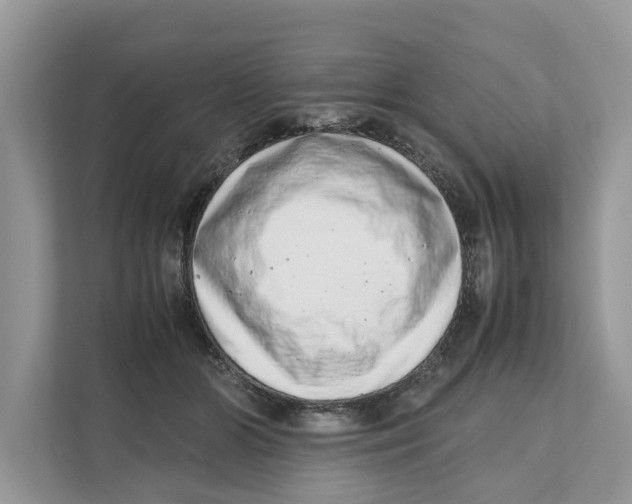 X0000110910510200907161501